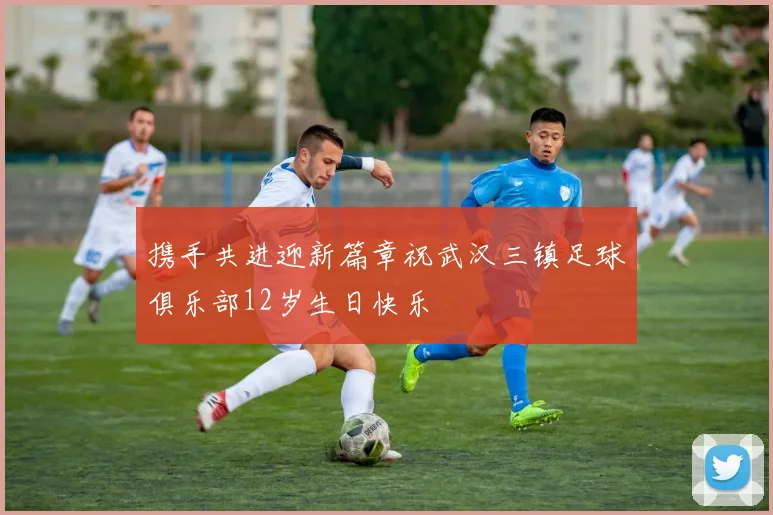 携手共进迎新篇章祝武汉三镇足球俱乐部12岁生日快乐