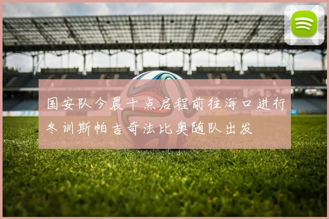 国安队今晨十点启程前往海口进行冬训斯帕吉奇法比奥随队出发