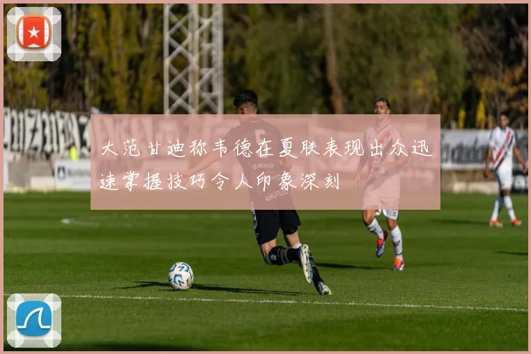 大范甘迪称韦德在夏联表现出众迅速掌握技巧令人印象深刻
